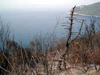 Sullo sfondo Punta Manara ed il golfo di Riva