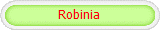 Robinia