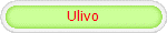 Ulivo