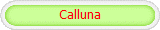 Calluna