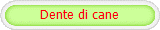 Dente di cane