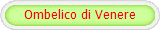 Ombelico di Venere