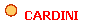   CARDINI