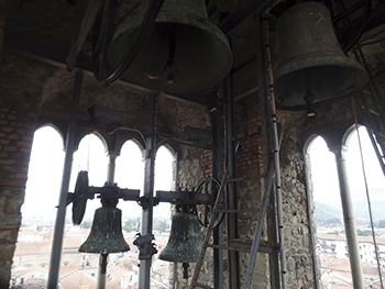 Sarzana-Cattedrale-Panoramica cella