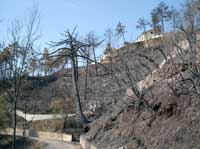 Sempre la strada di Villa Manierta