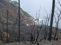 Vallegrande