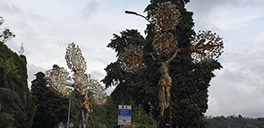 Festa Madonna Rosario Trigoso 2019  Processione