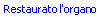 Restaurato l'organo